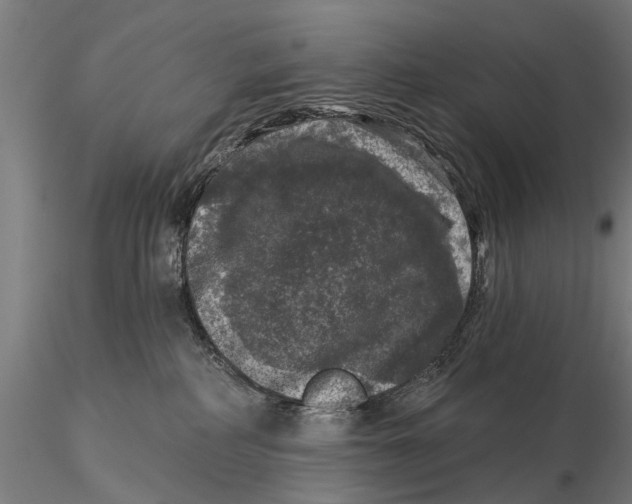 X0000116010234200912101349