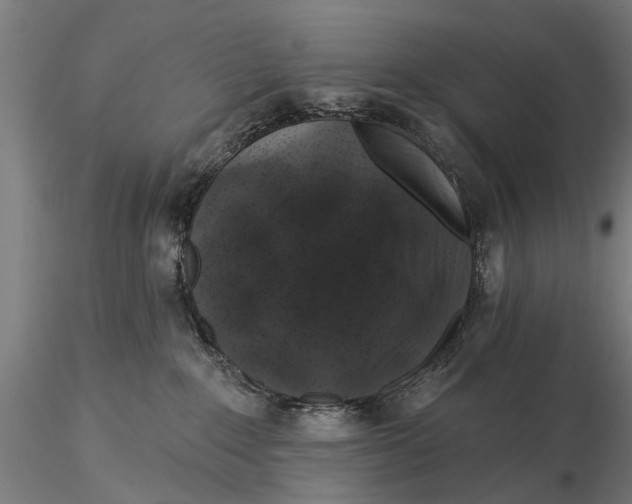 X0000116010235200912101349