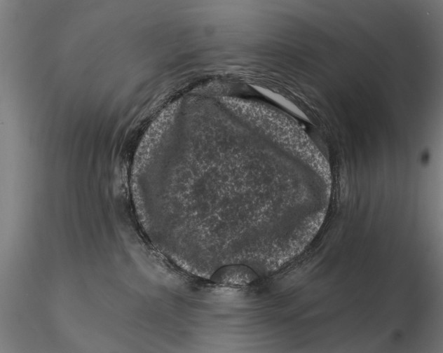 X0000116010236200912101349