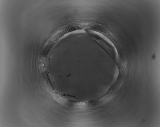 X0000116010237200912101349