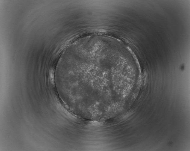 X0000116010238200912101349