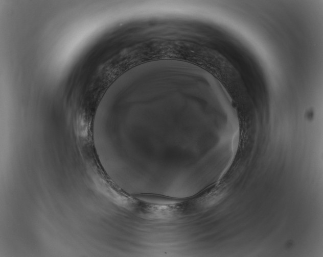 X0000116010239200912101348