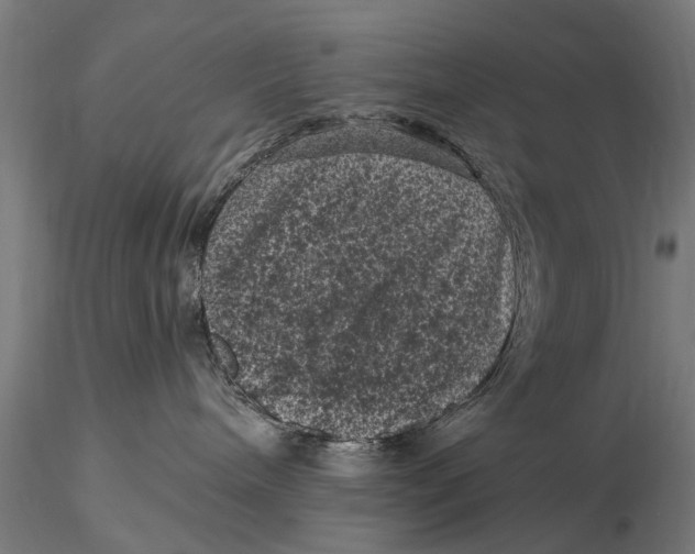 X0000116010240200912101348