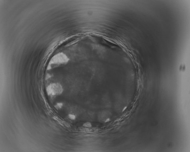 X0000116010241200912101348