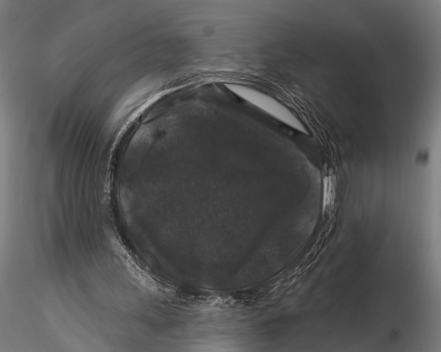 X0000116010243200912101348