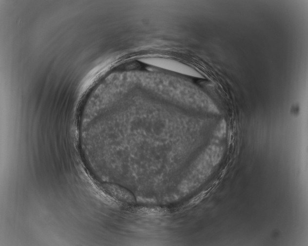 X0000116010245200912101348