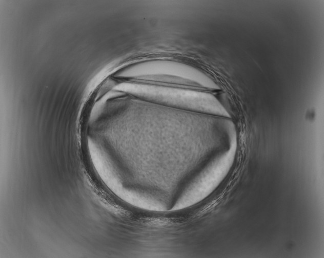 X0000116010246200912101348