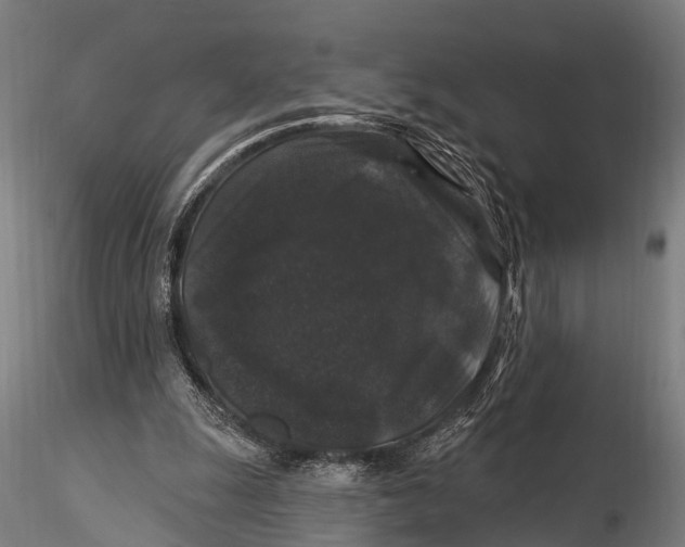 X0000116010247200912101348