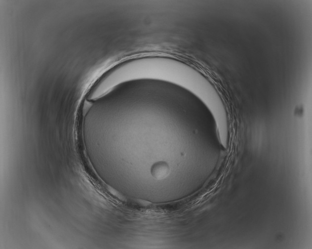 X0000116010248200912101348