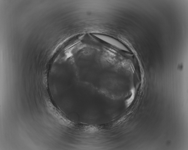 X0000116010249200912101348