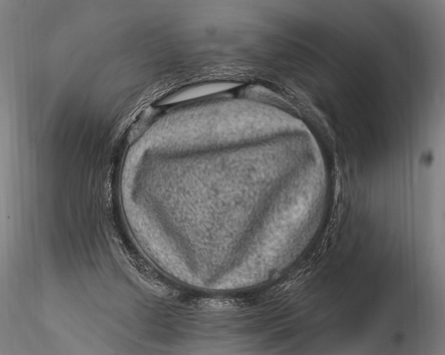 X0000116010250200912101348