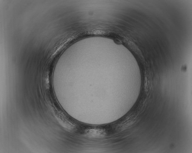 X0000116010251200912101348