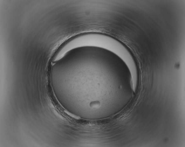 X0000116010252200912101348