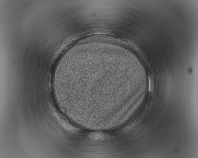 X0000116010253200912101348