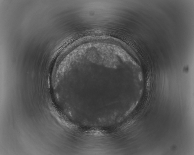 X0000116010254200912101348