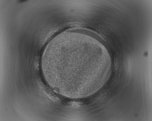 X0000116010255200912101348