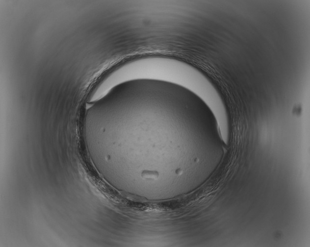 X0000116010256200912101348