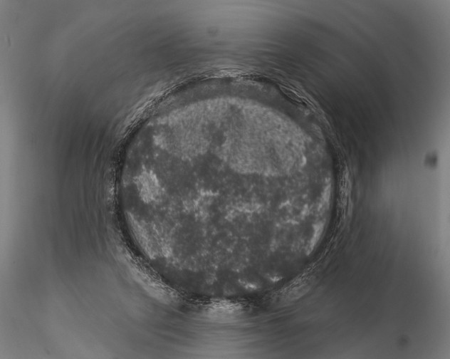 X0000116010257200912101348