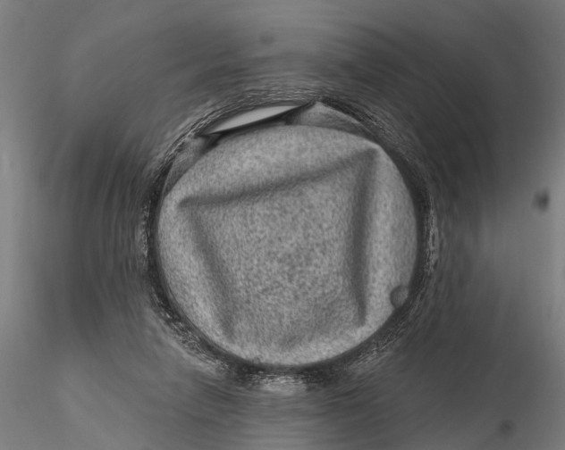 X0000116010258200912101348