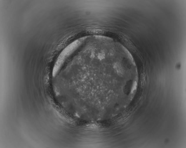 X0000116010259200912101348