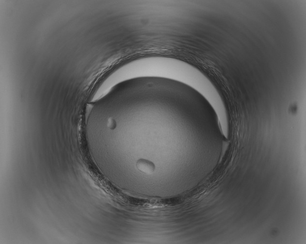 X0000116010260200912101348