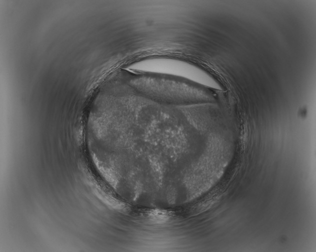 X0000116010261200912101348