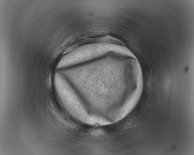 X0000116010262200912101348