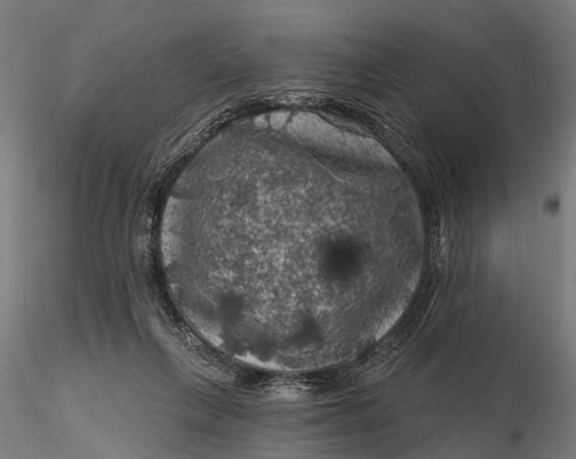 X0000116010263200912101348