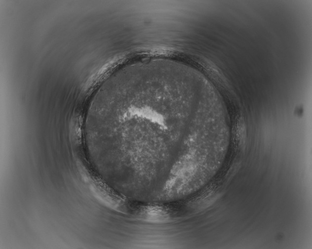 X0000116010264200912101348