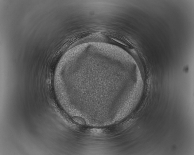 X0000116010265200912101348