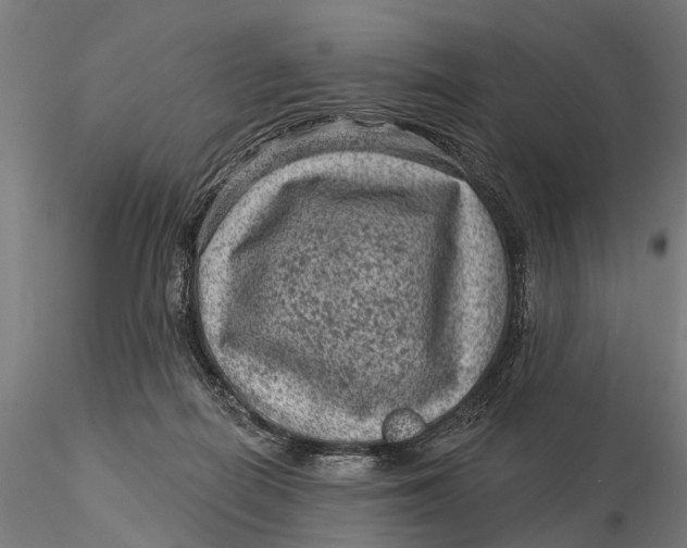 X0000116010266200912101348