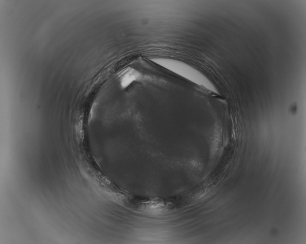 X0000116010267200912101348