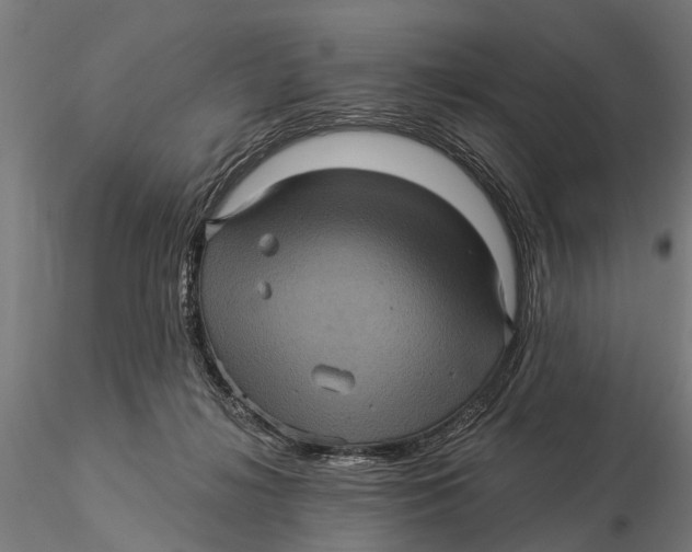 X0000116010268200912101348