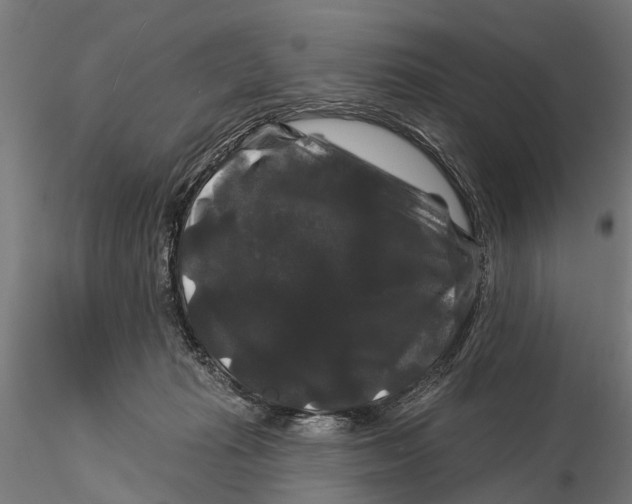 X0000116010269200912101348