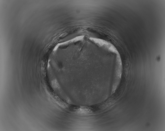 X0000116010270200912101348