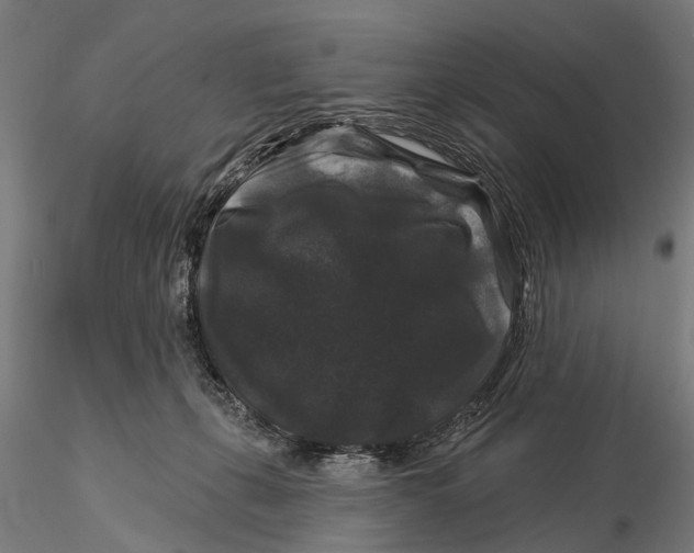 X0000116010271200912101348