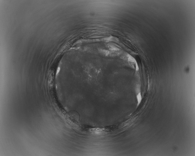 X0000116010273200912101348