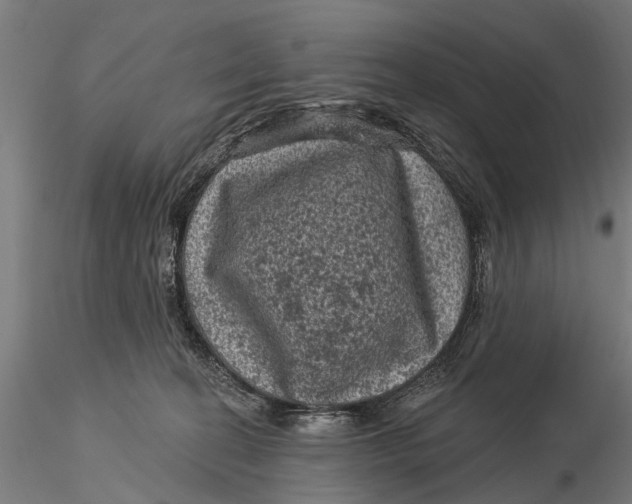 X0000116010274200912101348