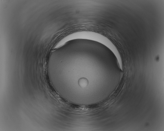 X0000116010276200912101348