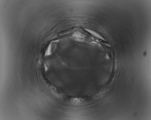 X0000116010277200912101348