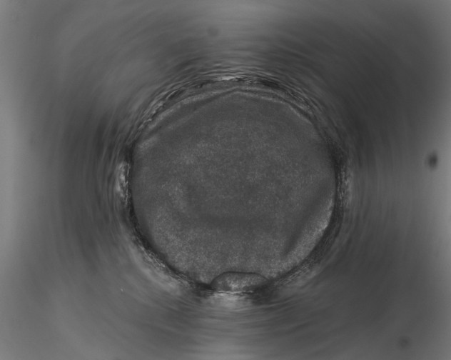 X0000116010280200912101348