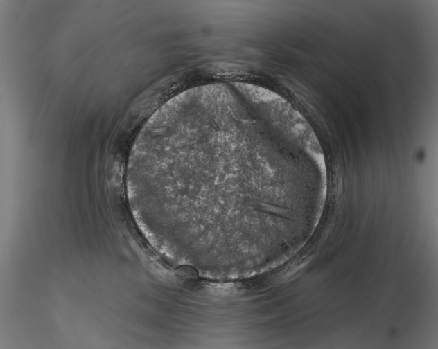 X0000116010281200912101348