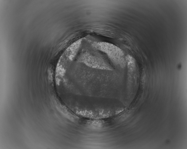 X0000116010282200912101348