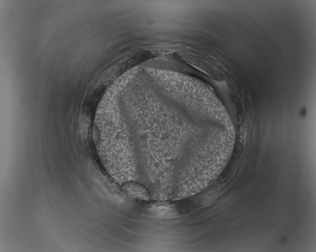 X0000116010283200912101348