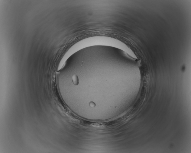 X0000116010284200912101348