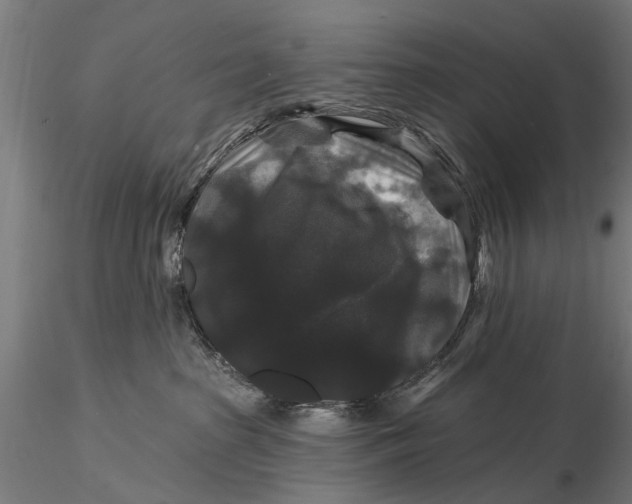 X0000116010285200912101348