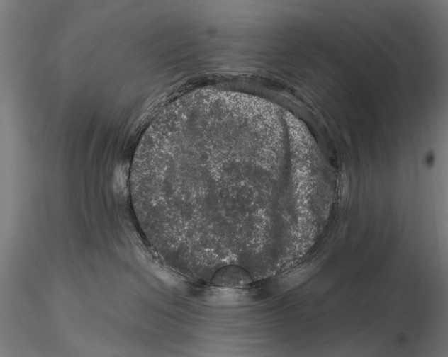 X0000116010286200912101348