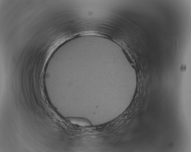 X0000116010289200912101348