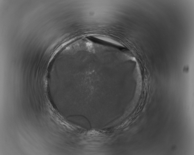 X0000116010290200912101348