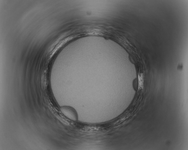 X0000116010291200912101348